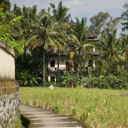 Eden House Ubud Exteriör bild