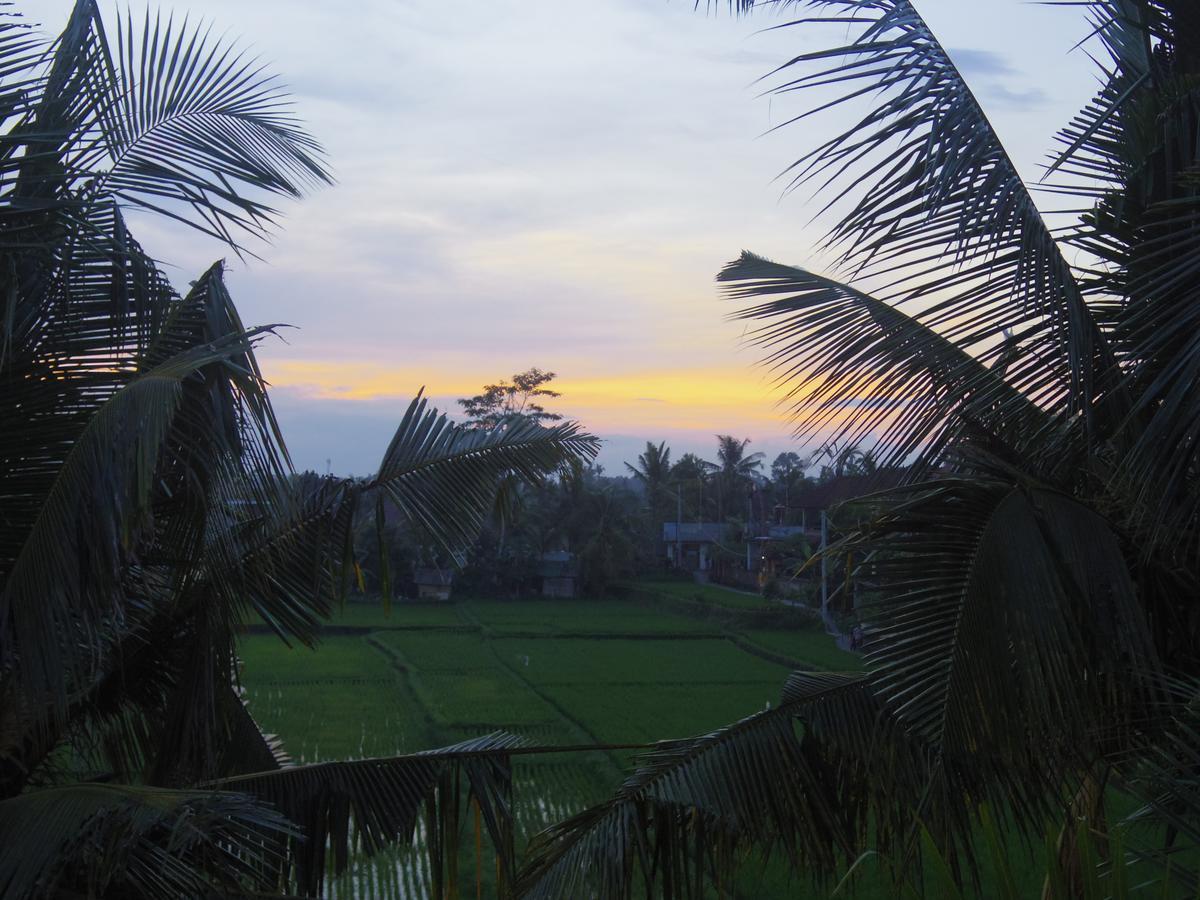 Eden House Ubud Exteriör bild