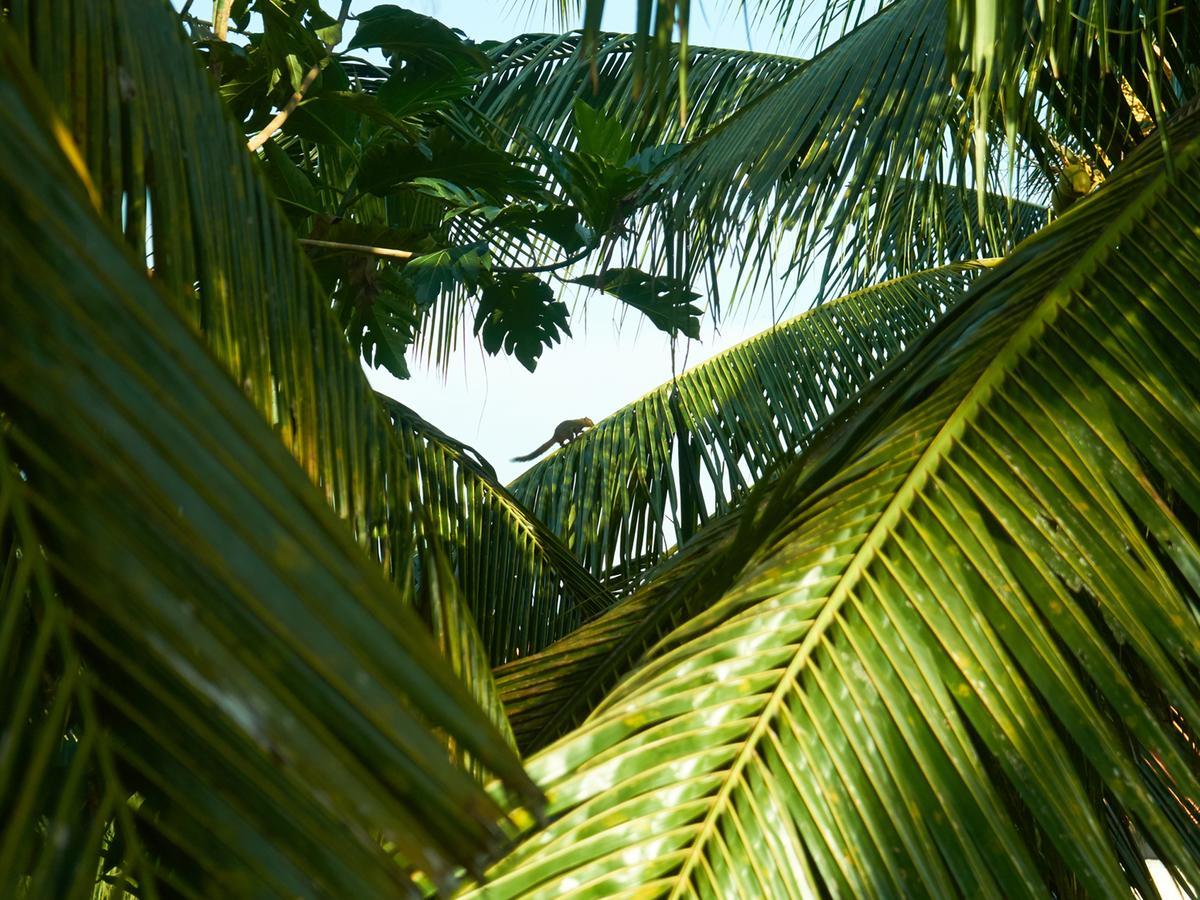 Eden House Ubud Exteriör bild